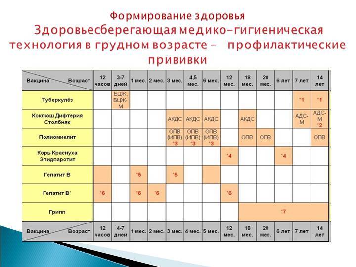 Календарь прививок для взрослых