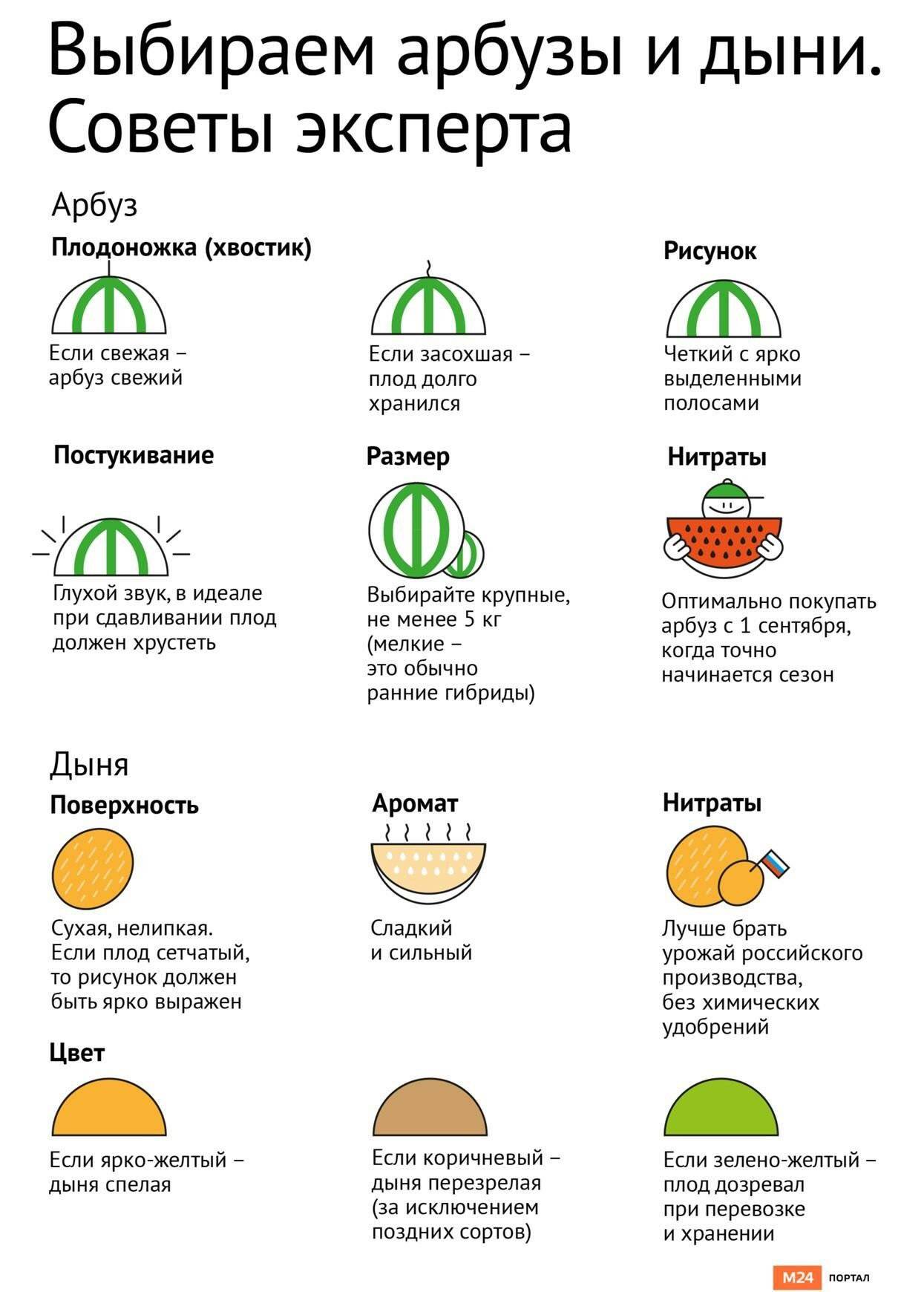Как выбрать арбуз: чтобы он был спелый, сладкий и вкусный, проверенные методы