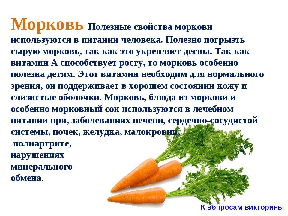 Аллергия на морковь | компетентно о здоровье на ilive