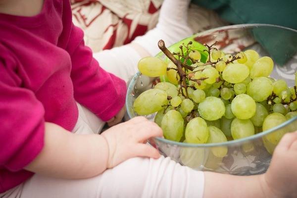 С какого возраста можно давать ребенку виноград: как и сколько