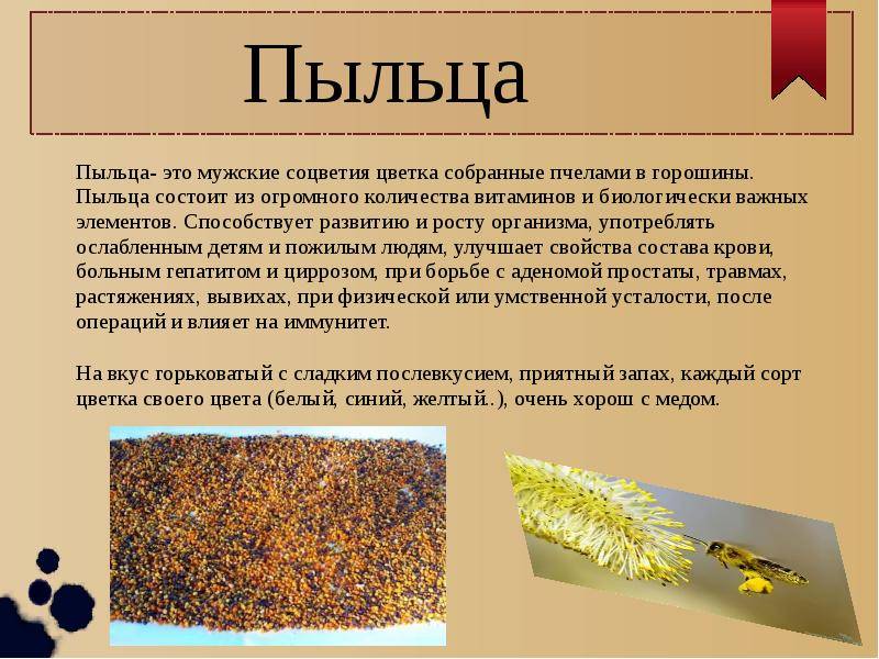 Пчелиная перга: рецепты для здоровья и красоты