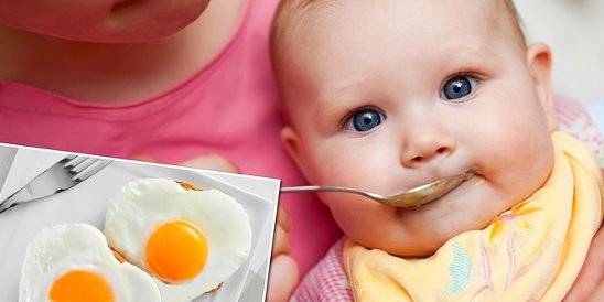 Как давать ребенку желток, со скольки месяцев и сколько раз в неделю его можно есть и как вводить в прикорм