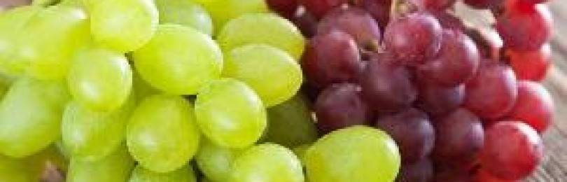 Виноград при грудном вскармливании: можно или нет