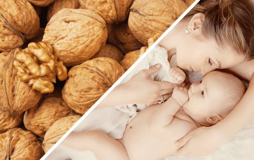 Грецкие орехи при грудном вскармливании: можно ли кормящей маме