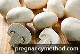 Шампиньоны при грудном вскармливании: можно ли их употреблять маме в первый и последующие месяцы после родов, а также каковы польза и вред этих грибов при гв?