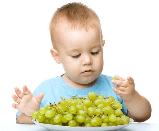 С какого возраста можно давать виноград ребенку