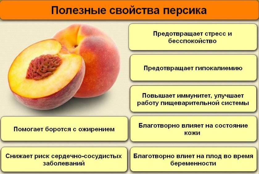 Персики (нектарины) при грудном вскармливании
