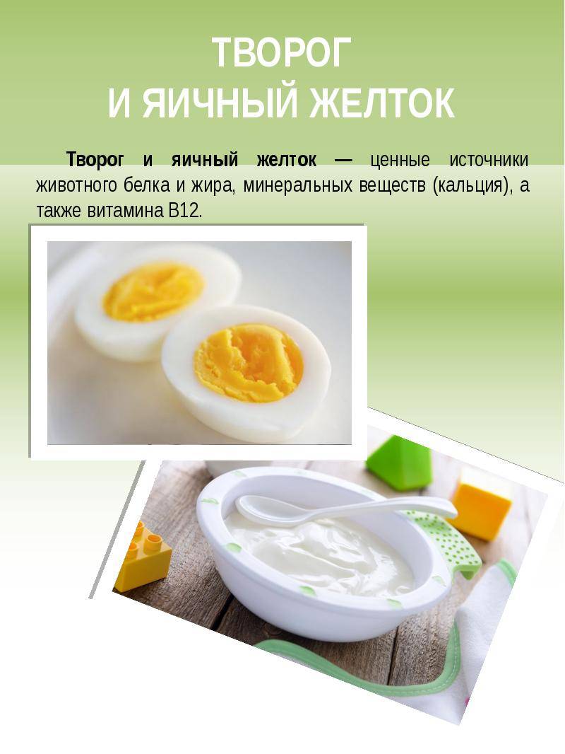 С какого возраста можно давать ребёнку яйца: желток и белок для грудничков, как и когда начинать вводить продукт, рецепты и прочее medistok.ru - жизнь без болезней и лекарств