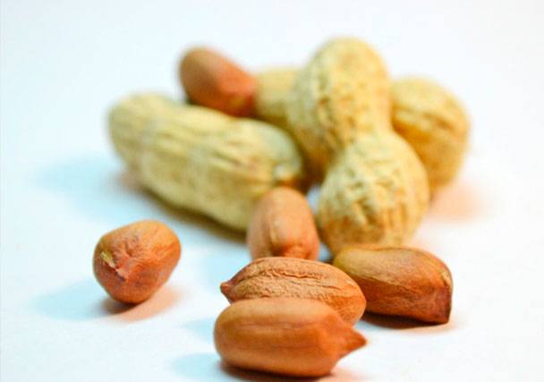 Можно ли арахис при грудном вскармливании кормящей маме? особенности введения в рацион ребенка