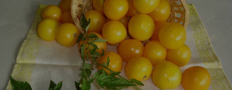 Разрешены ли помидоры при грудном вскармливании? желтые помидоры, печеные, тушеные, в сыром виде, соленые: можно ли кормящей маме баловать себя всем разнообразием томатов?