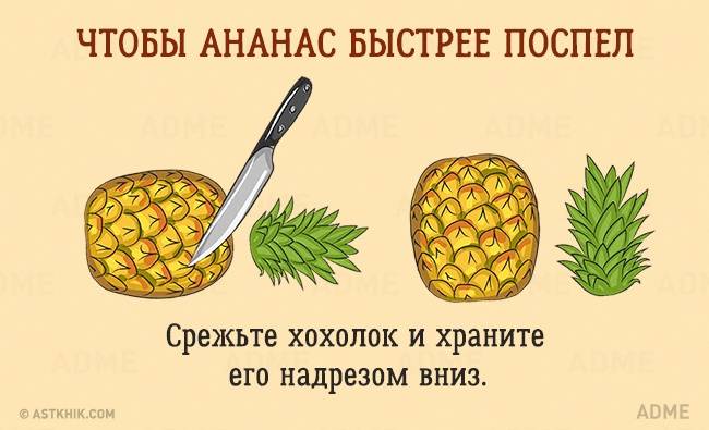 Как выбрать ананас спелый в магазине и сколько он хранится