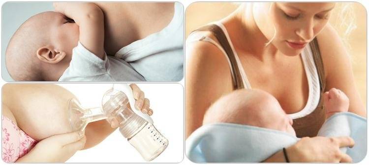 Сгущенное молоко при грудном вскармливании: время и норма употребления