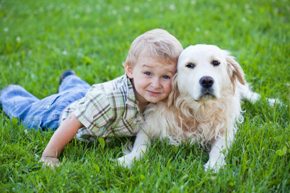 Ребёнок хочет собаку - почему не стоит заводить домашнее животное? | психологические тренинги и курсы он-лайн. системно-векторная психология | юрий бурлан