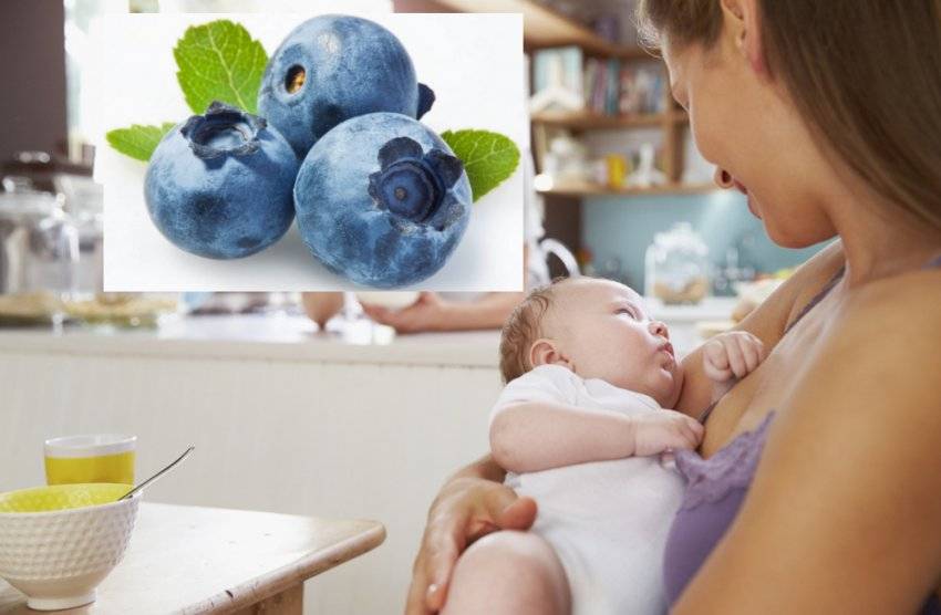 Клюква: витамины для кормящей мамы