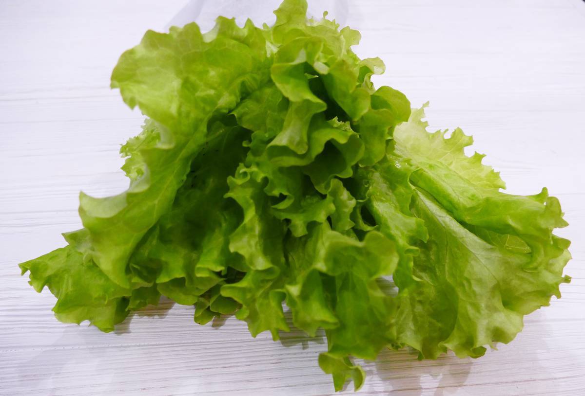 Руккола салат: полезные свойства, пищевая ценность, калорийность, содержание витаминов и микроэлементов, ограничения в употреблении, рецепты
