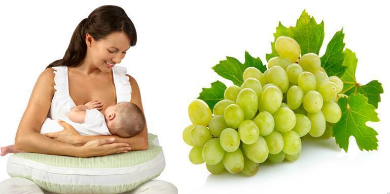 Можно ли виноград при грудном вскармливании: чем полезен зеленый, белый, красный, виноградный сок