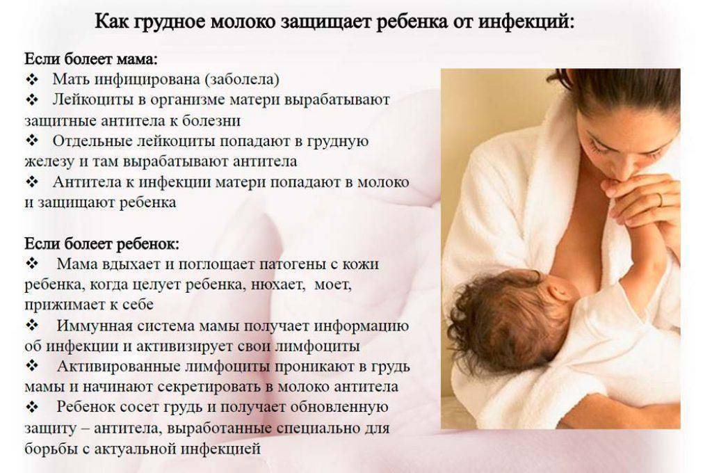 Диета кормящей мамы – что можно кушать кормящей маме при грудном вскармливании – agulife.ru - agulife.ru