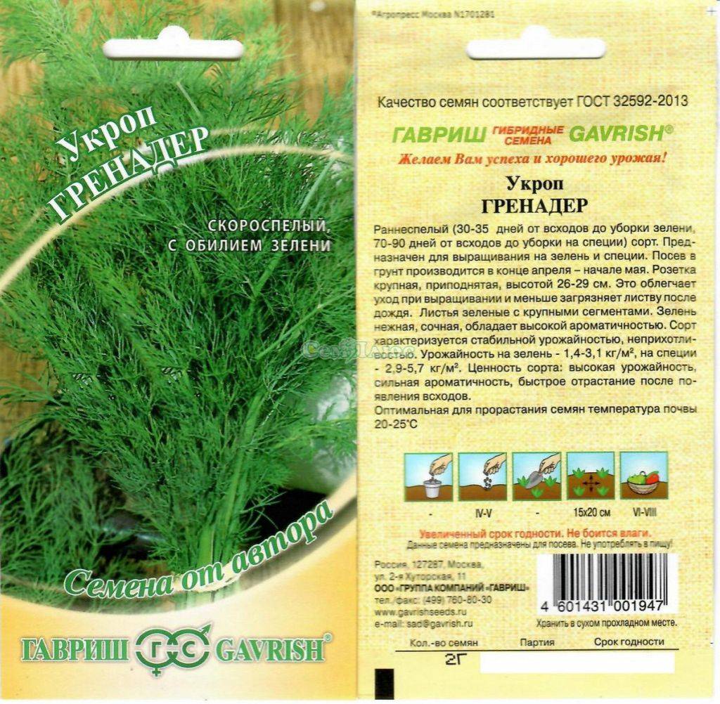 Лечебные травы при гастрите: какие можно пить | компетентно о здоровье на ilive