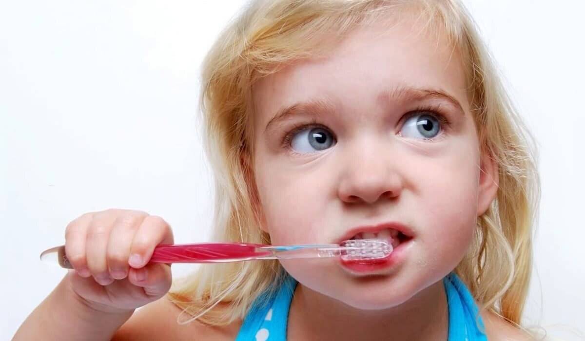 Как правильно чистить зубы, сколько раз в день нужно чистить зубы, как часто делать чистку зубов у стоматолога - узнайте правду