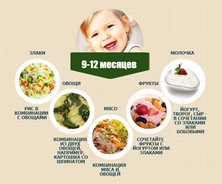 Что можно кушать ребенку в 10 месяцев – рацион питания и примерное меню на каждый день недели с рецептами