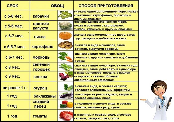 С какого возраста можно давать тыкву грудничку или тыква для первого прикорма, когда можно давать ребенку и как приготовить stomatvrn.ru