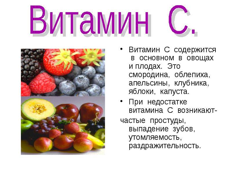 В каких продуктах содержится много витамина e [список] :: здоровье :: рбк стиль