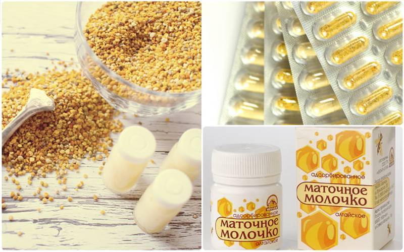 Пчелиное маточное молочко: виды маточного молочка, его лечебные свойства и польза