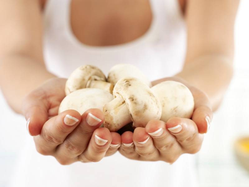 Можно ли грибы при грудном вскармливании кормящей маме