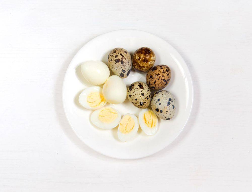 Яйца при грудном вскармливании: когда можно и в каком количестве