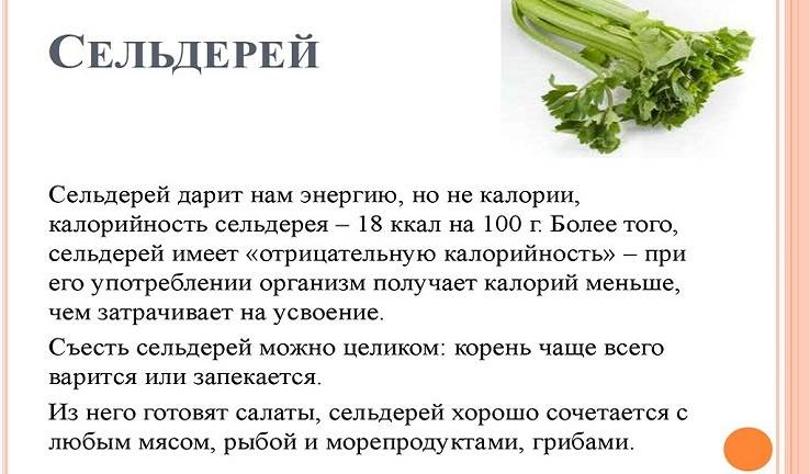 Сельдереевая диета для похудения на 7 и 14 дней | компетентно о здоровье на ilive