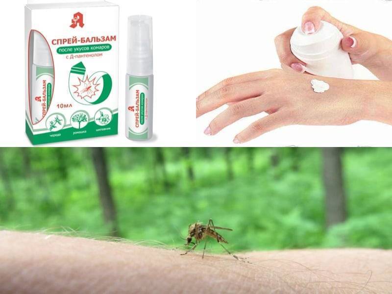 Защита от комаров - средства от укуса мошек и слепней на открытом воздухе