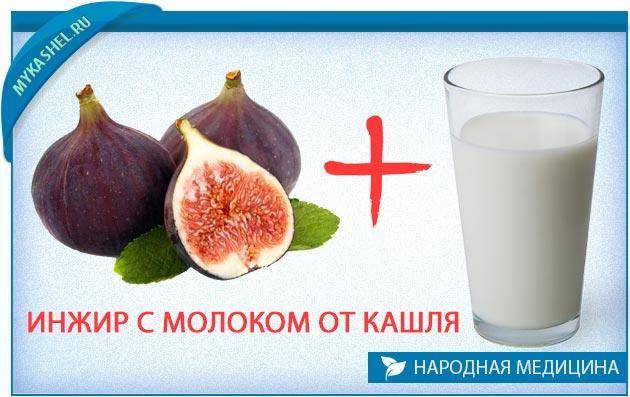 Инжир от кашля: рецепты для детей