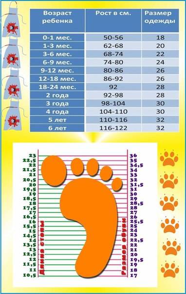 Размер обуви для детей по возрасту: таблица