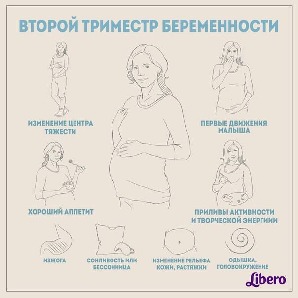 Второй триместр беременности: скрининг, болезни и лекарства, что можно и нельзя беременной женщине