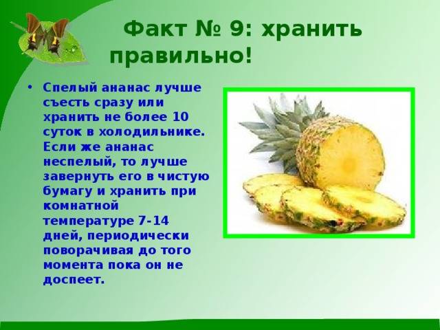 Советы, как выбрать спелый ананас и как его правильно хранить в домашних условиях