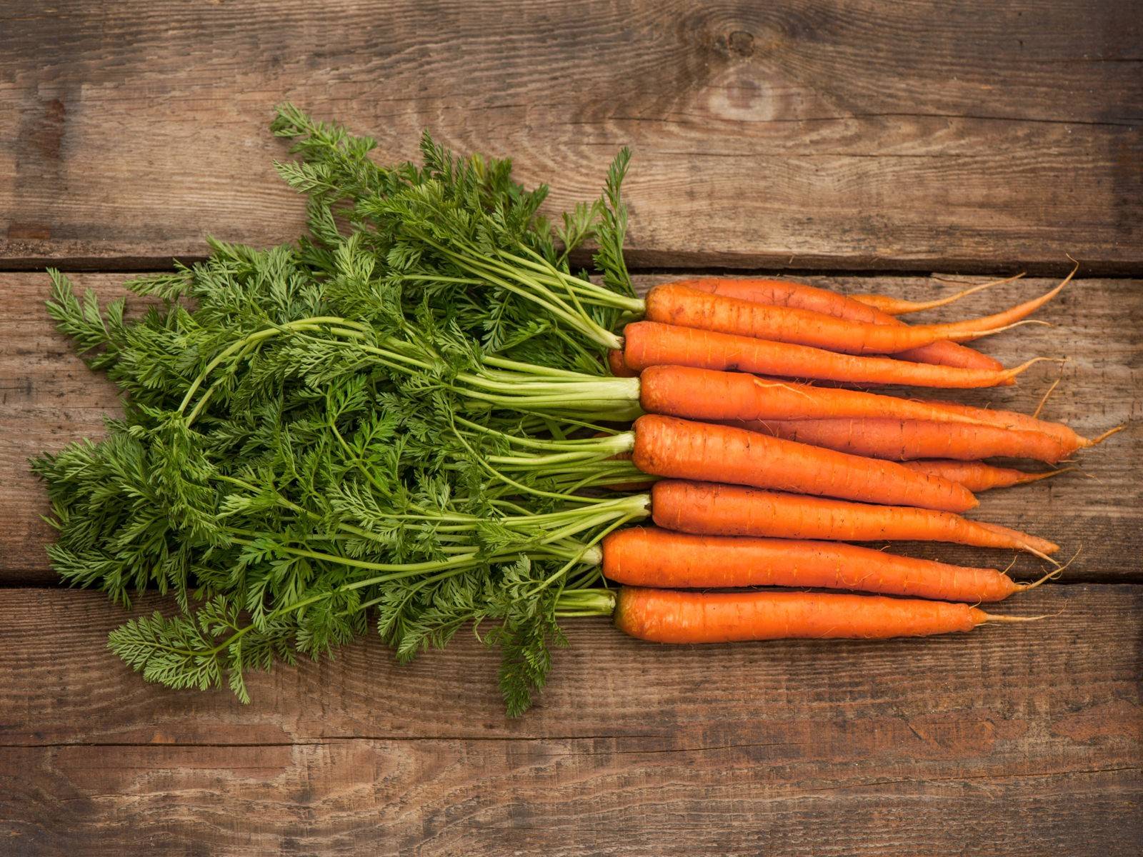 Можно ли кормящей маме морковь? можно ли кушать сырую морковь кормящей женщине?