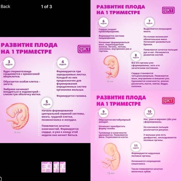 Контроль анализов в течение беременности