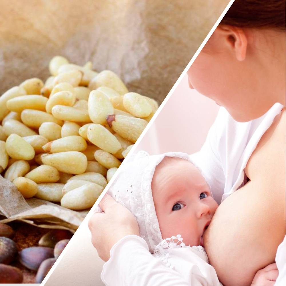 Польза и вред орехов при грудном вскармливании. какие из них можно употреблять кормящим мамам?