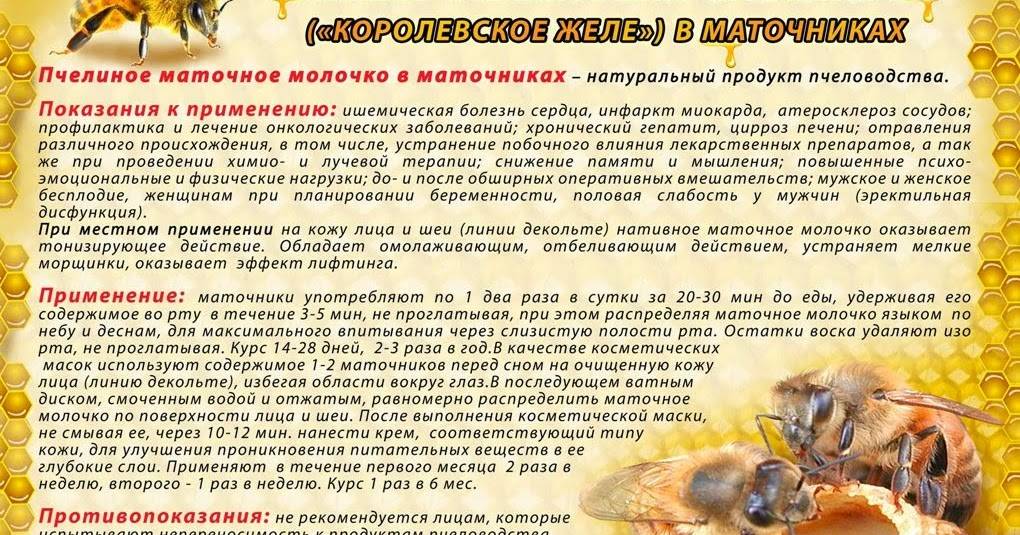 Пчелиное маточное молочко: полезные свойства для мужчин и женщин и применение в косметике и косметологии