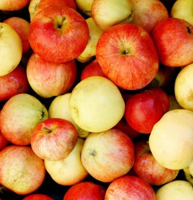 Красные яблоки при грудном вскармливании - мамины новости