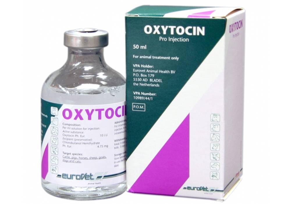 Гормон окситоцин и его роль в организме женщины