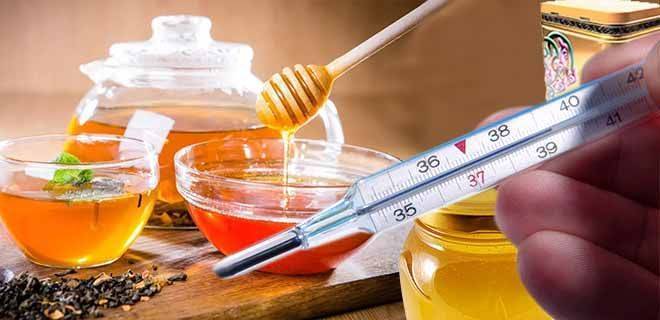 Можно ли давать мед при температуре ребенку