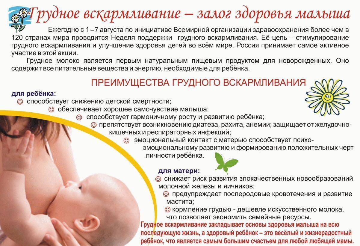 Можно ли кормящей маме огурцы: какие огурцы безопасны для малыша