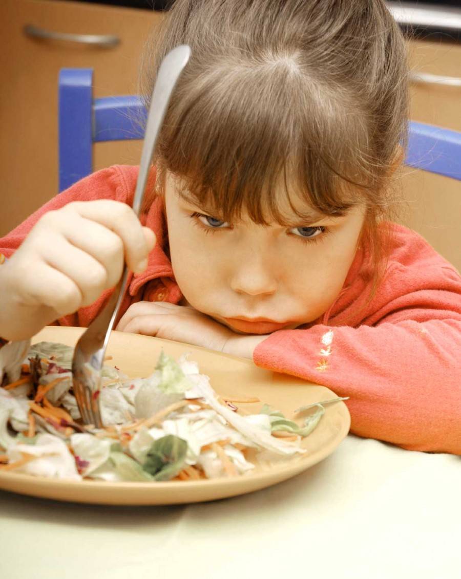 Ребенок не ест мясо- энциклопедия детское питание