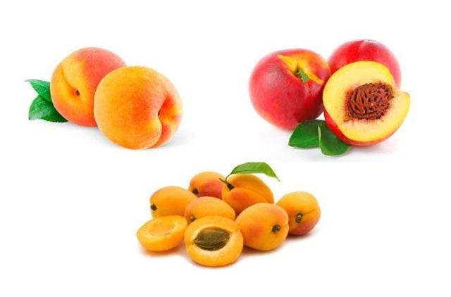 Можно ли персики при грудном вскармливании?