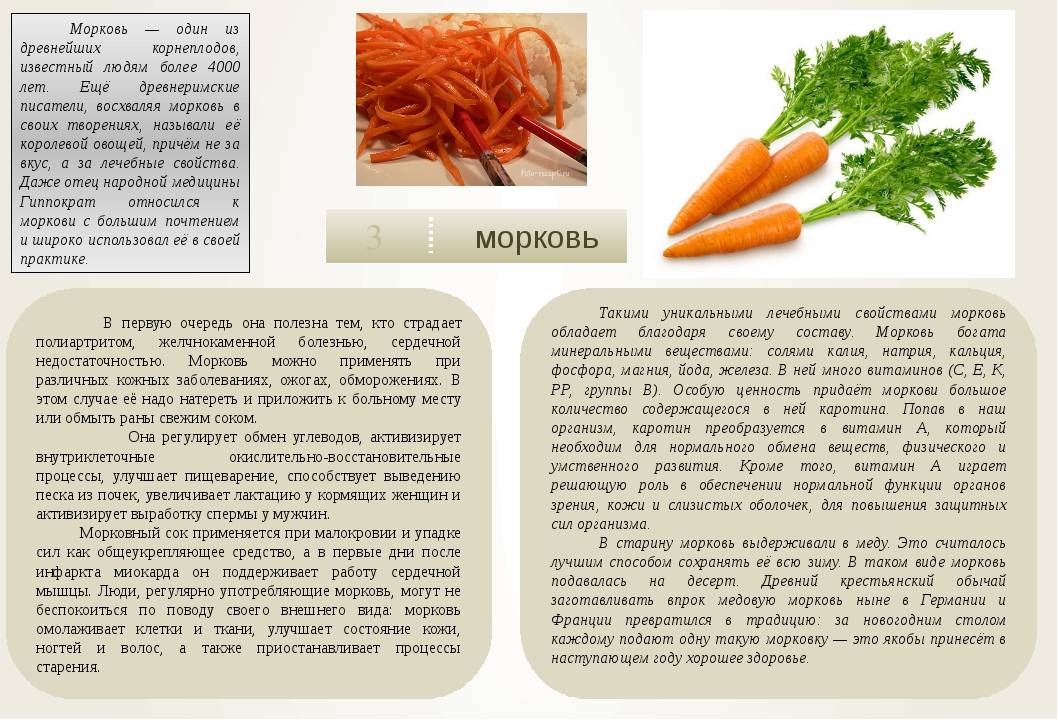 Морковь и морковный сок при грудном кормлении