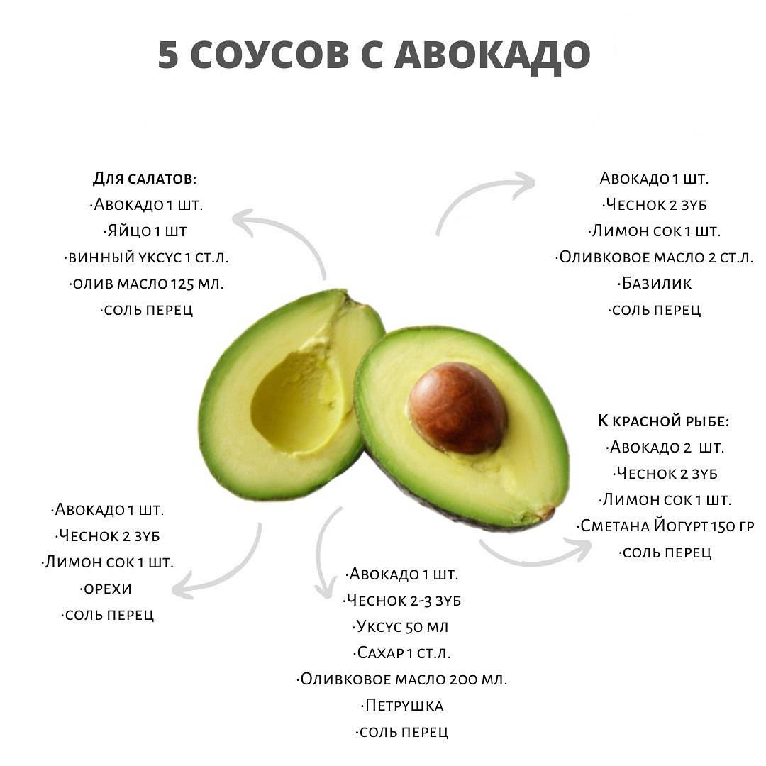 Авокадо: польза, вред, способы применения для красоты и здоровья