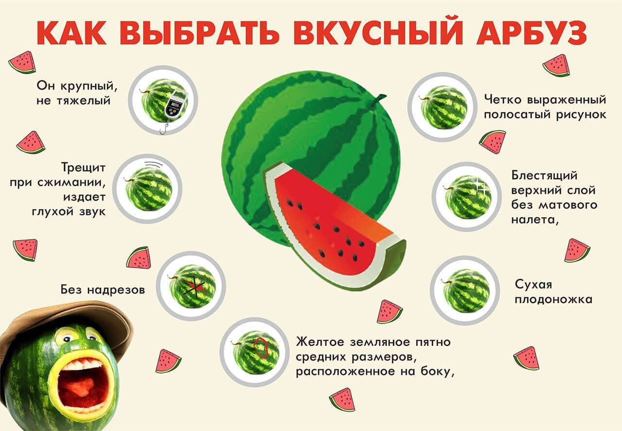 Дыня при грудном вскармливании: полезные свойства фрукта и правила его употребления