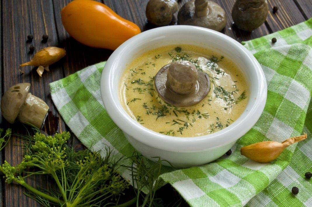 Грибной суп из шампиньонов при грудном вскармливании, рецепт
