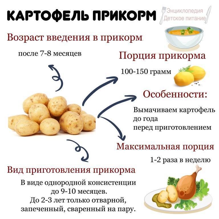 Первый прикорм – правила: как и когда вводить прикорм при грудном вскармливании - agulife.ru